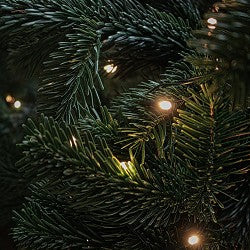 Christmas Lights (Scented Beads)