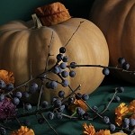 Blueberry Pumpkin Patch (Scented Beads)