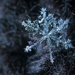 Jack Frost (Scented Beads)