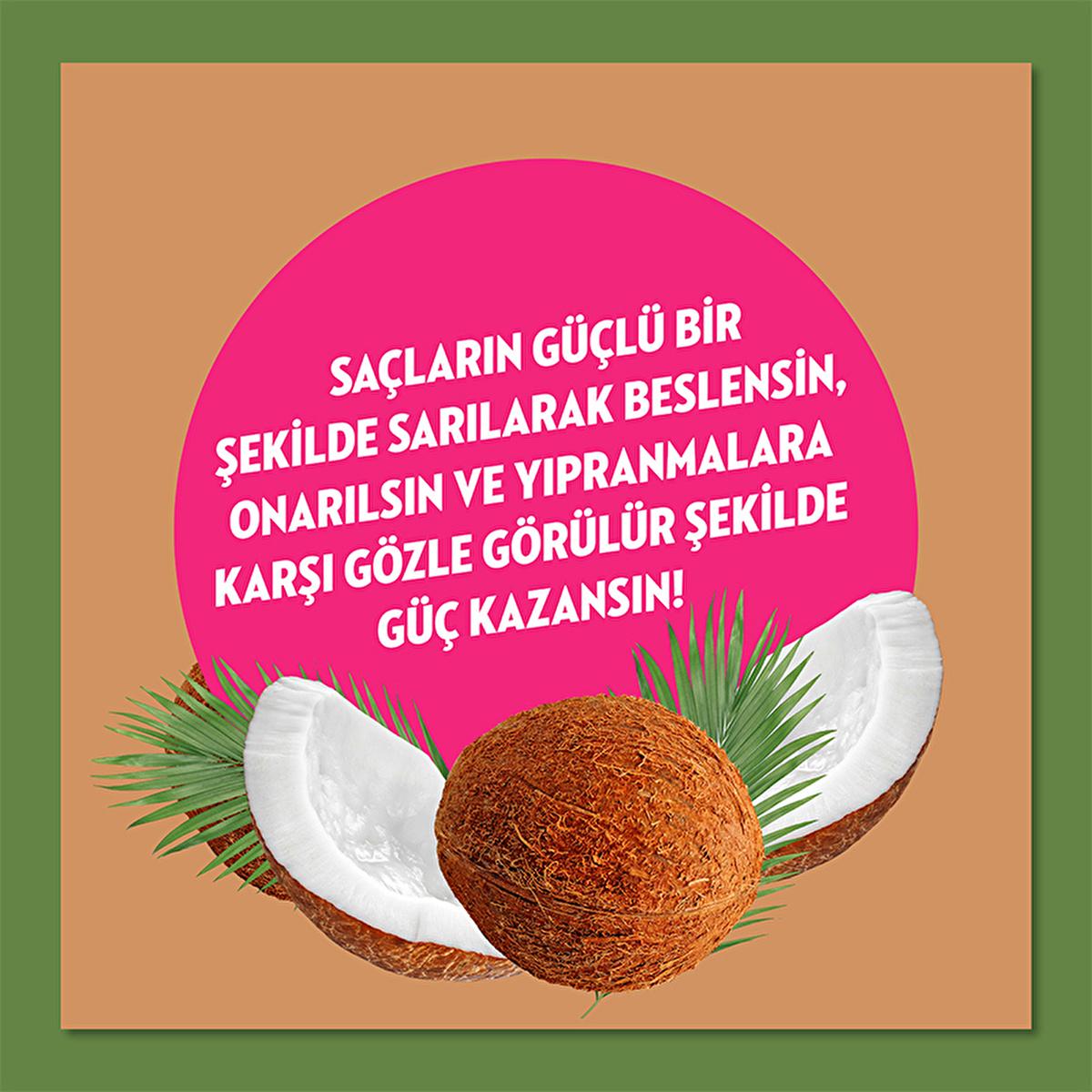 Elidor Coconut Oil Hair Conditioner: Natural, Paraben Free Repair Cream for Damaged Hair - Moisturizing, Cruelty-Free, Coconut Oil Treatment
