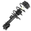 SHOCKS & STRUTS