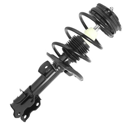 SHOCKS & STRUTS
