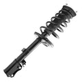SHOCKS & STRUTS