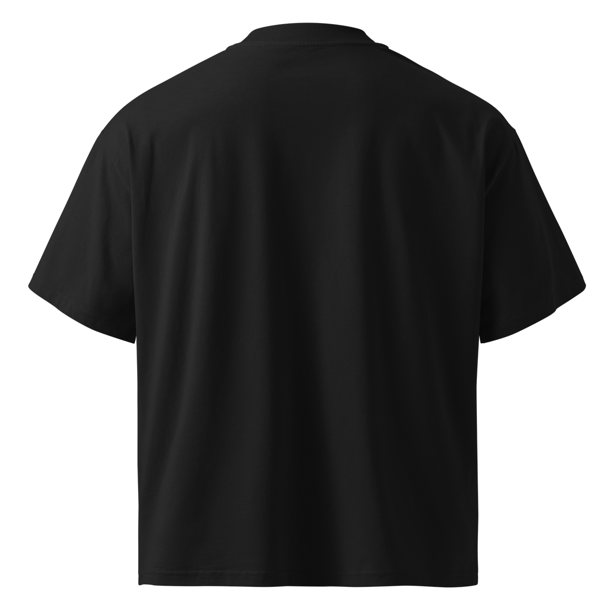 Hack The Planet – Oversized Organic High-Neck T-Shirt